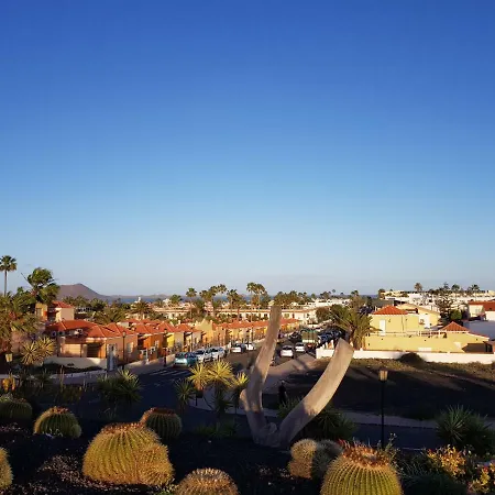 Aloha 아파트 코라레호